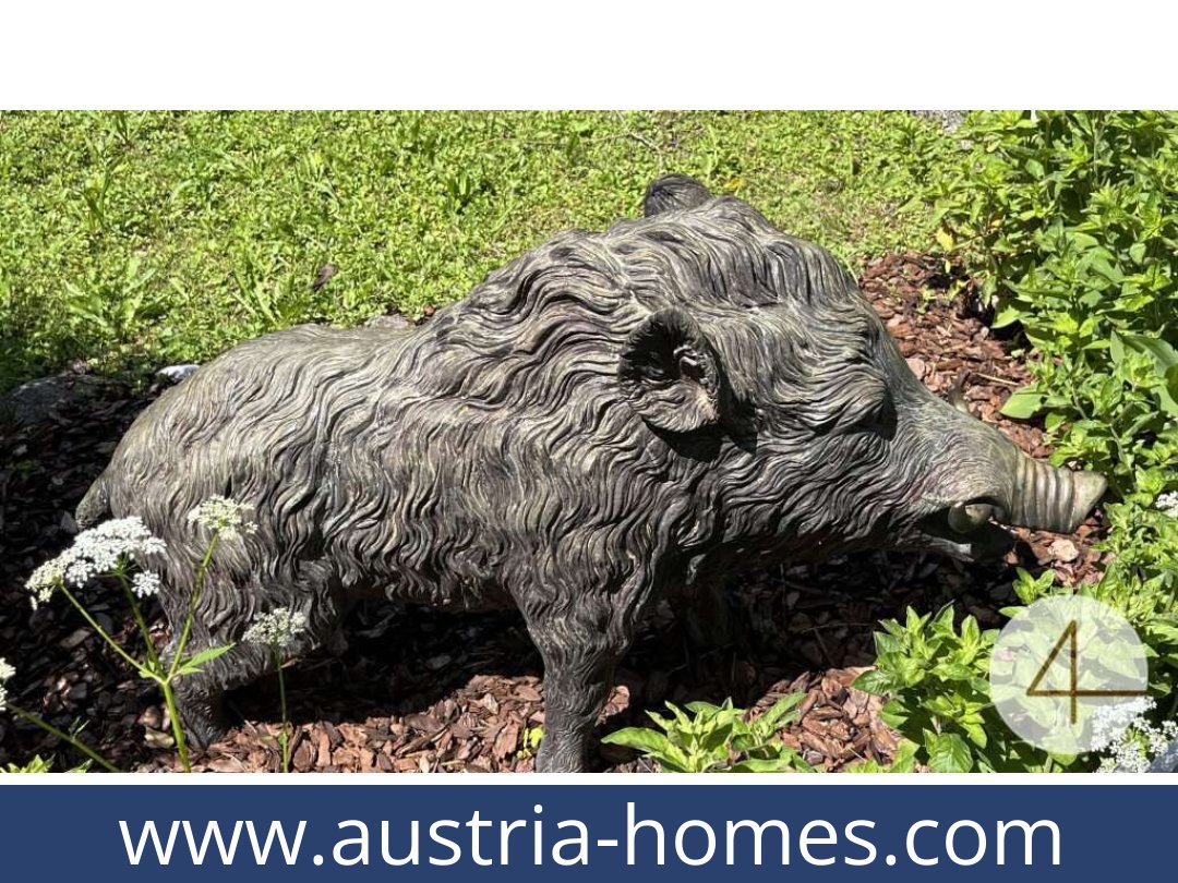 austria-homes-gostling an der ybbs-3345-20250921194740-0030301014.jpg